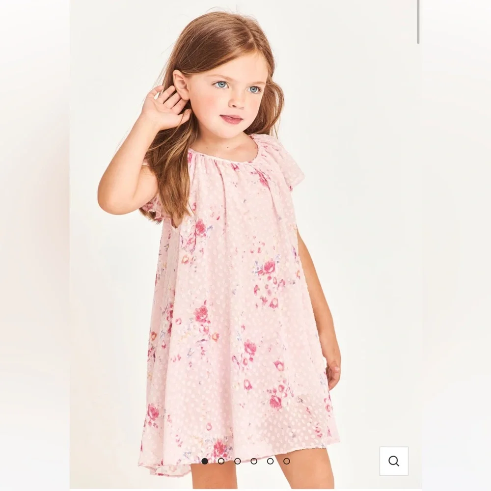 NWT LOVESHACKFANCY Lou Girls Pink Dress - Size 4/5 Years